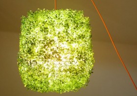 lampe-herbe
