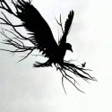 mtv-hd-crow