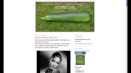 journal-courgette