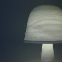 Fungi-Lamp